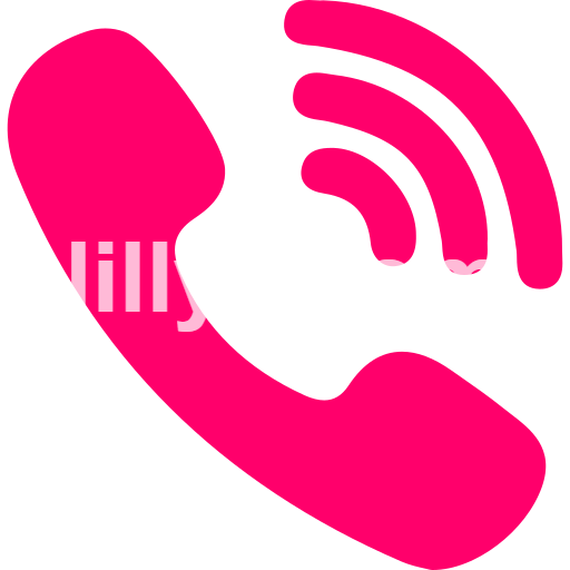 Patna Call Girls service